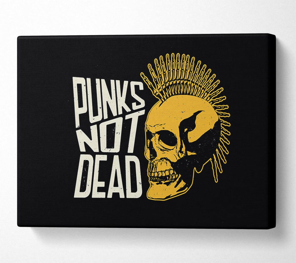 Picture of Punks Not Dead 1 Canvas Print Wall Art
