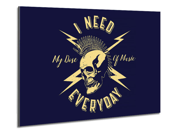 I Need My Dose Of Music Metal Print