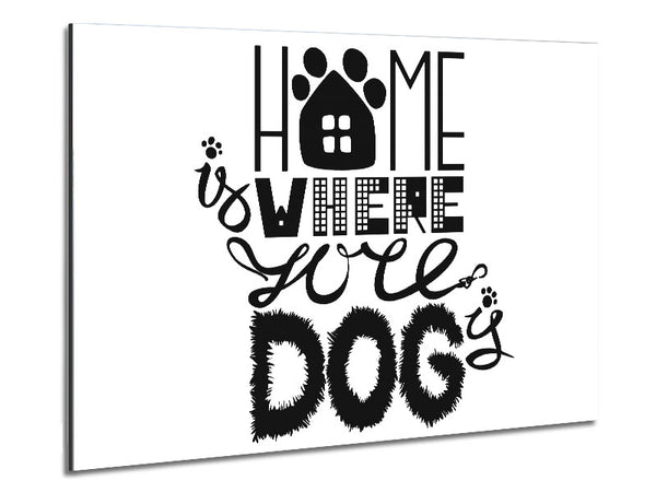 Zuhause ist, wo der Hund ist 2