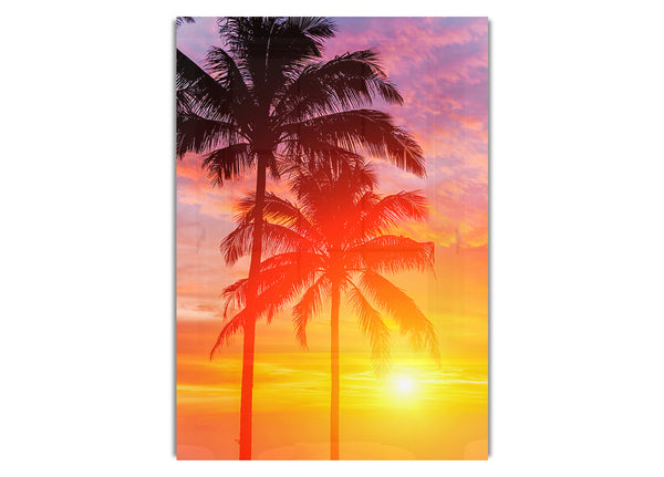 Sonnenuntergang Palmen