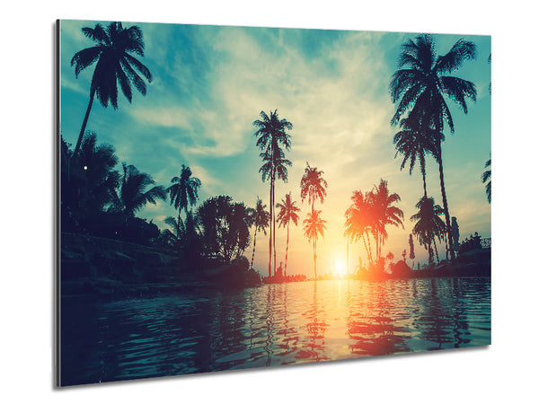 Palm Tree Waters Metal Print