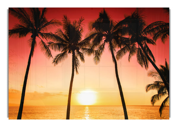 Sonnenuntergang zwischen den Palmen