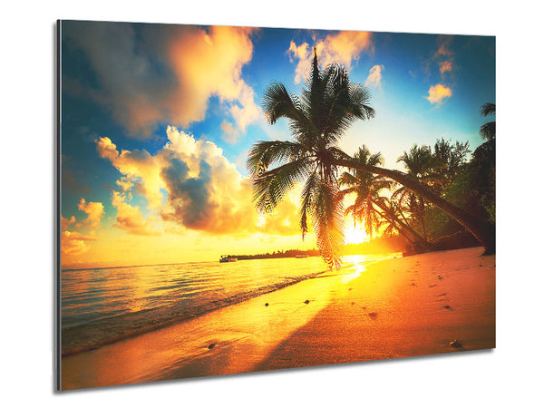 As The Sun Falls On A Perfect Day Metal Print