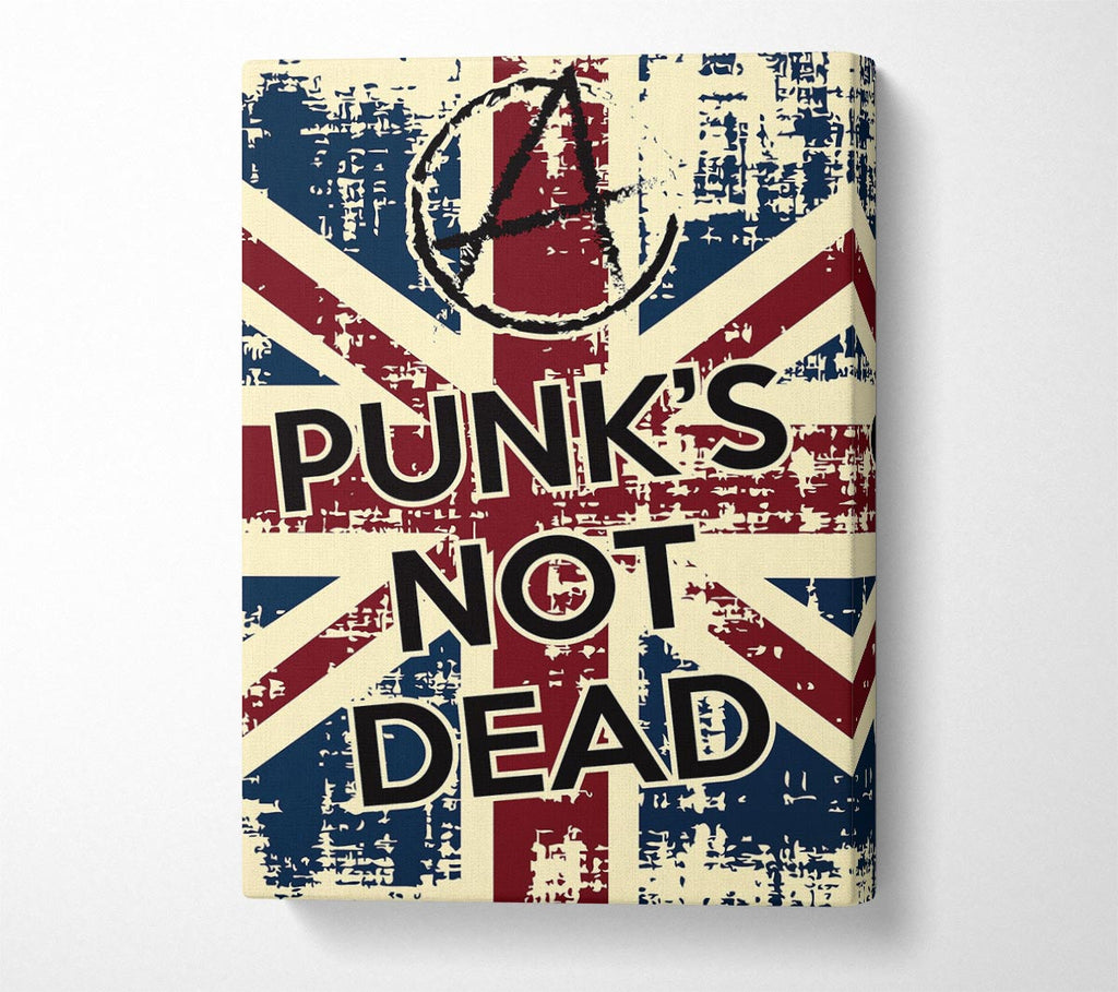 Picture of Punks Not Dead Canvas Print Wall Art