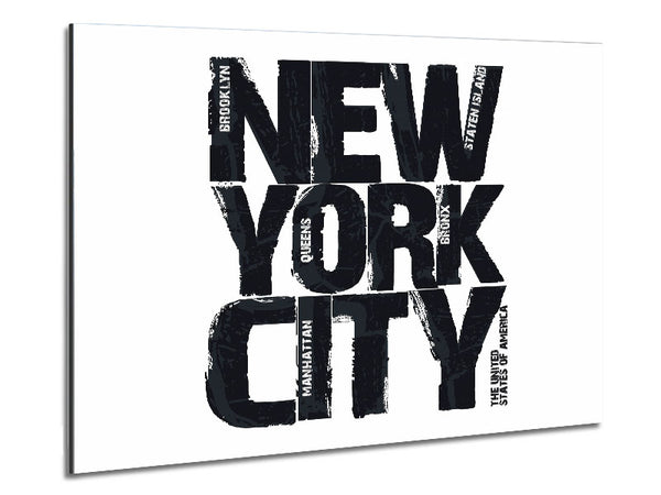 NYC Districts Metal Print