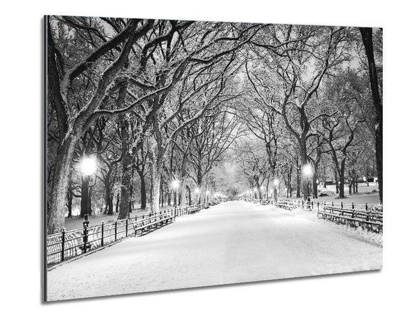 Winterspaziergang durch den Central Park