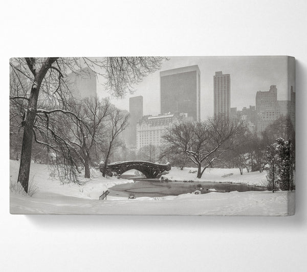 Winterschnee im Central Park