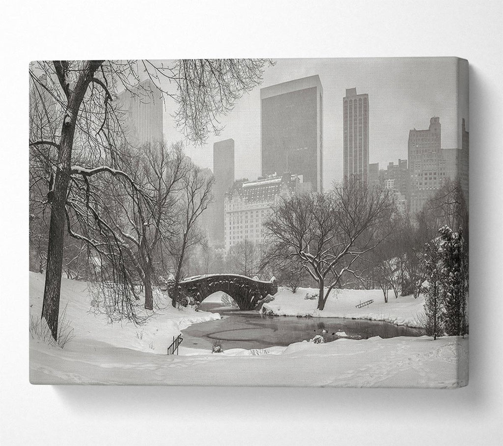 Picture of Winter Snow In Central Park Canvas Print Wall Art