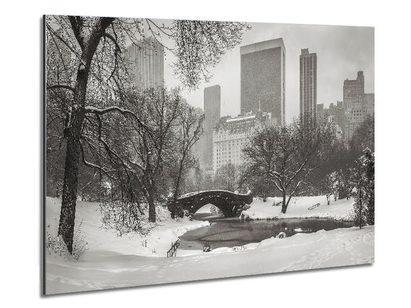 Winterschnee im Central Park