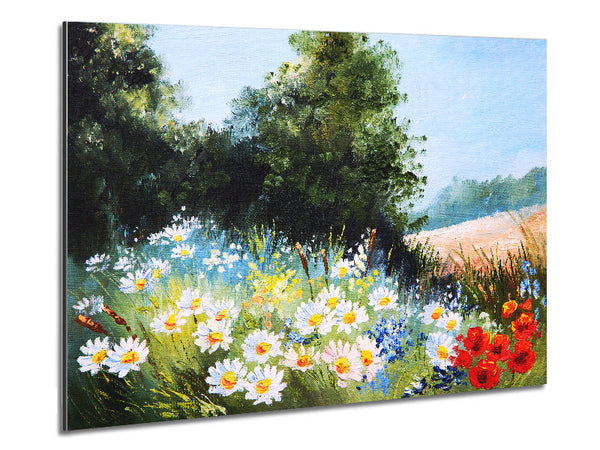 Gänseblümchen-Tage