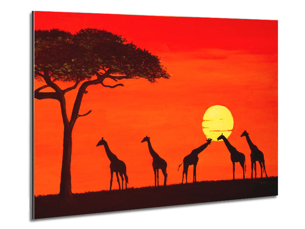 Giraffes At The Sunset Metal Print
