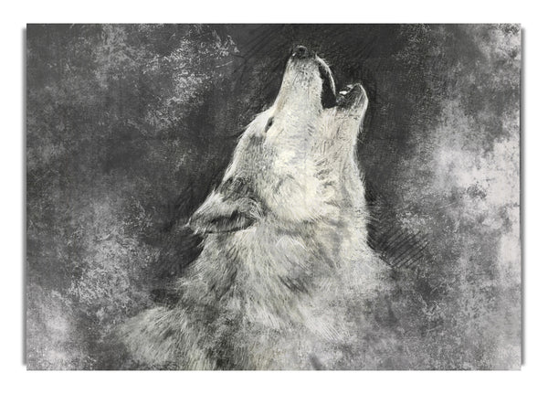 Heulender Wolf ruft seinen
