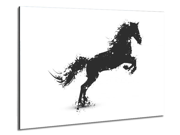 Stallion Horse Splendor Metal Print