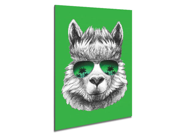 Llama Cool Metal Print
