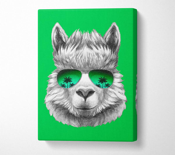  A Canvas Print of Llama Cool Canvas Wall Art