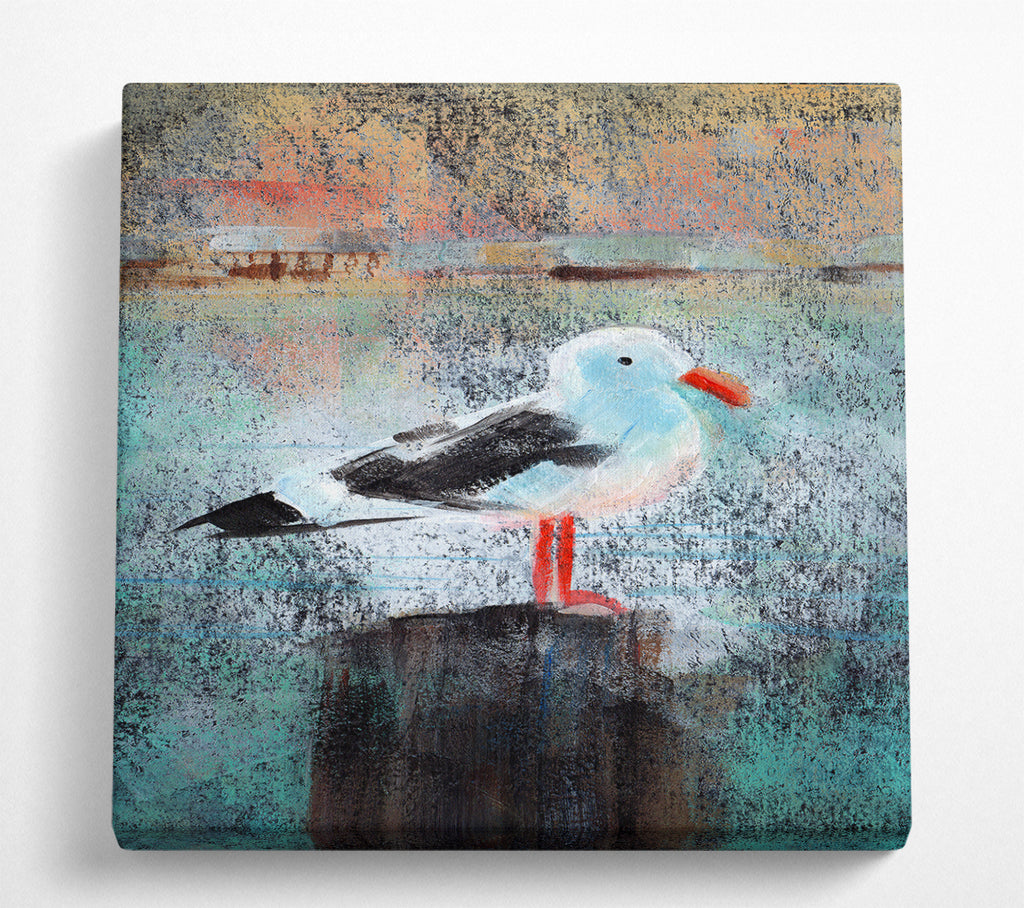 A Square Canvas Print Showing Seagull Perch Square Wall Art