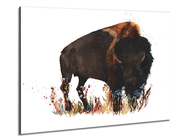 Bison-Liebe