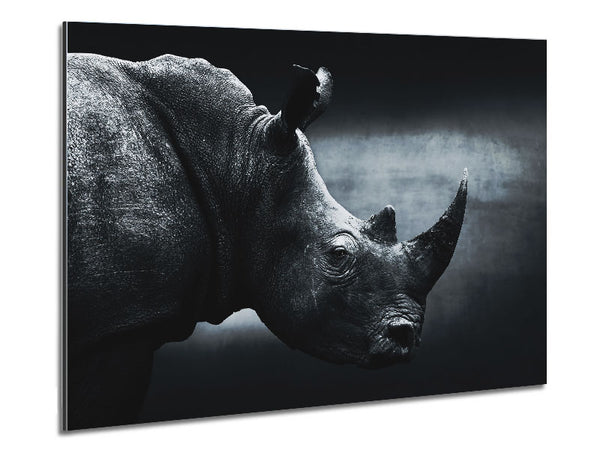 Rhinoceros Beauty Metal Print