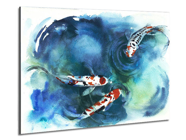 Koi Fish Teatime Metal Print