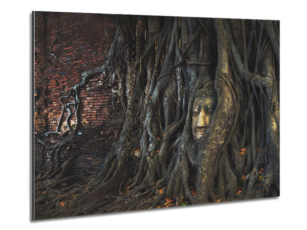 Buddha 33 Metal Print