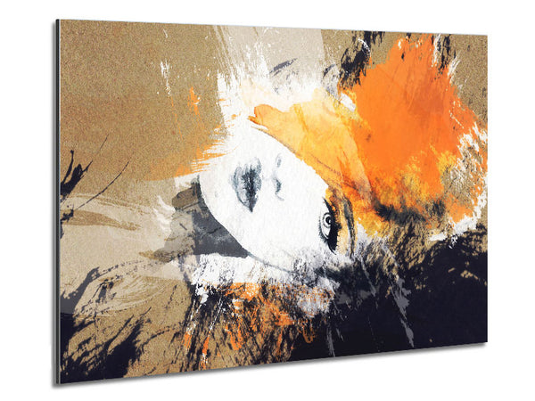 Orange Schönheit