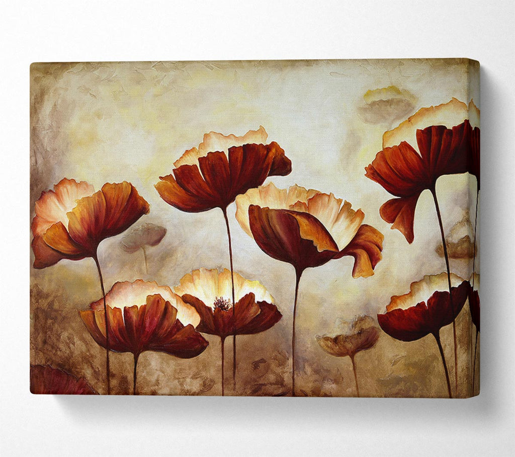 Picture of Chocolate Poppies Canvas Print Wall Art