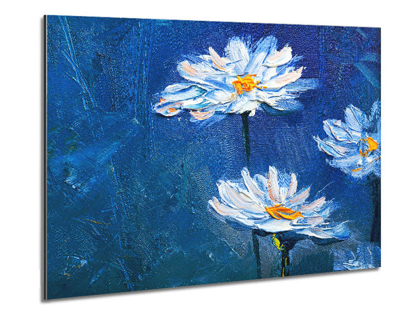 Daisy Mitternachtsblues