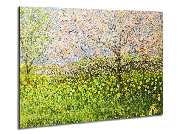 Spring Time Metal Print