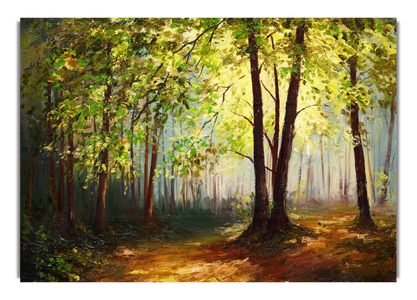 Grüner Baum, Sonne, Dunst