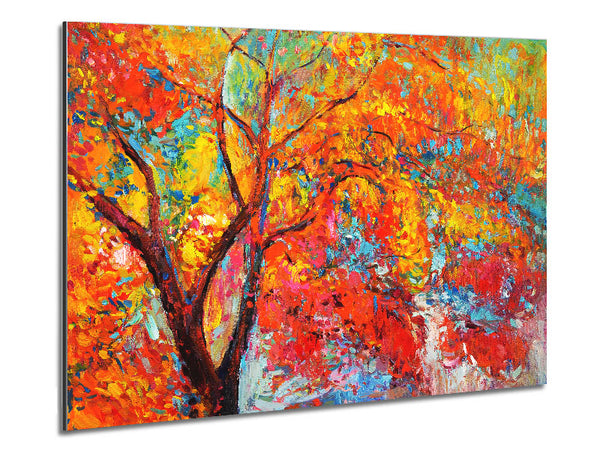 Atemberaubender orangefarbener und roter Herbstbaum
