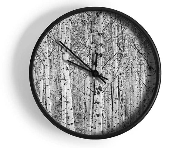 Just Silver Birch Clock - Wallart-Direct UK