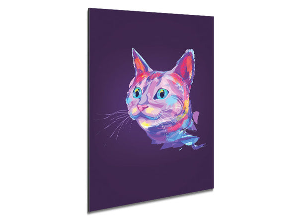 Regenbogenkatze
