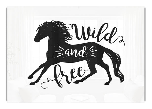Wild And Free Like A Horse