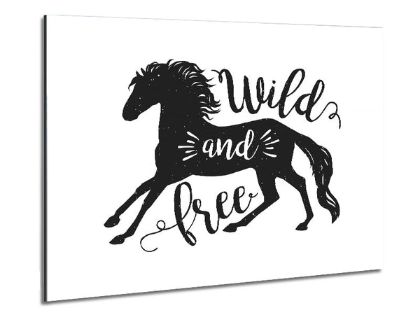 Wild And Free Like A Horse Metal Print