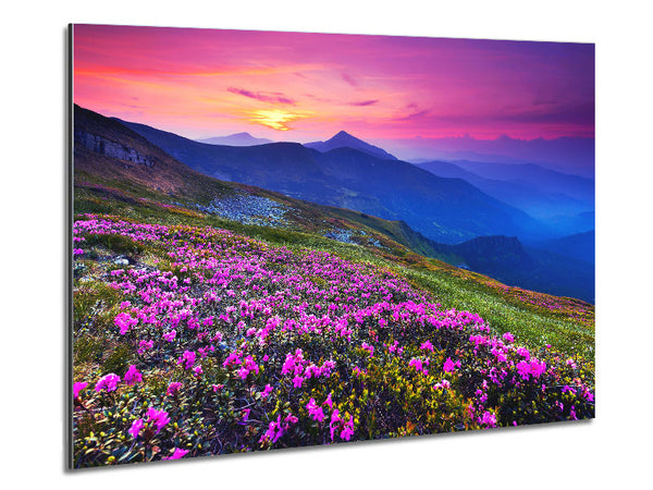 Pink Flower Mountain Top Metal Print