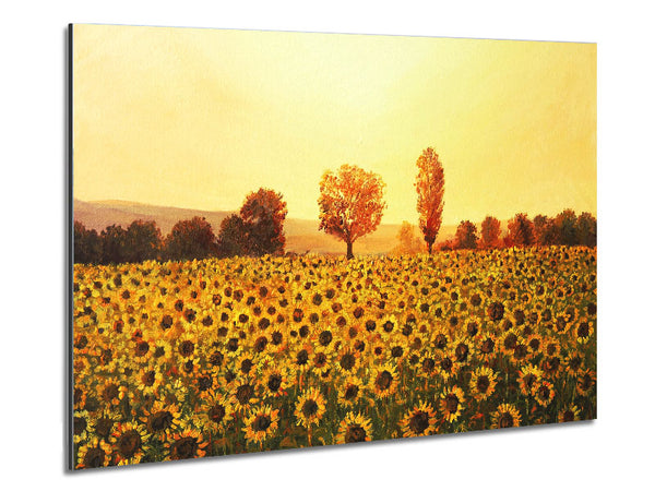 Nothing But Sunflowers Metal Print