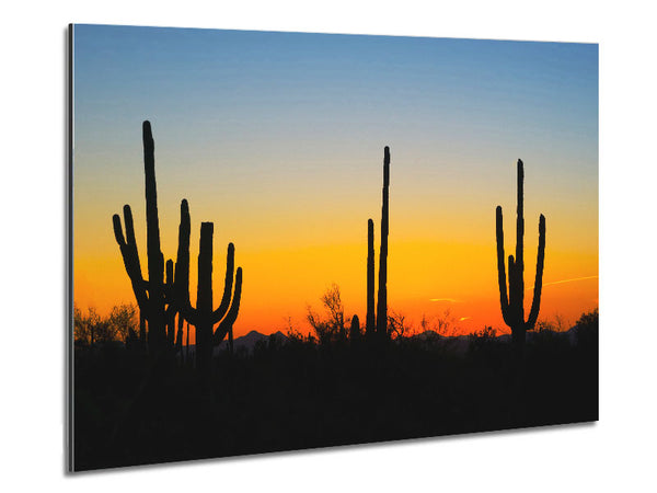 Cactus Sunset Metal Print