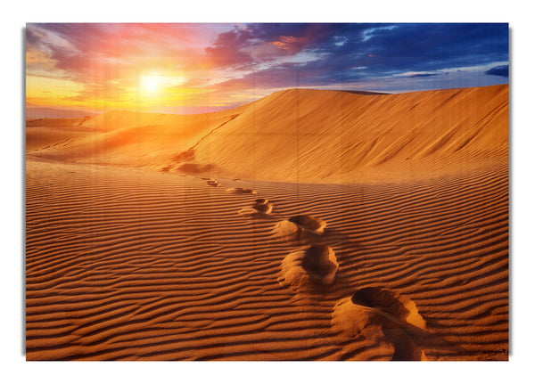 Footprints In The Desert Sun