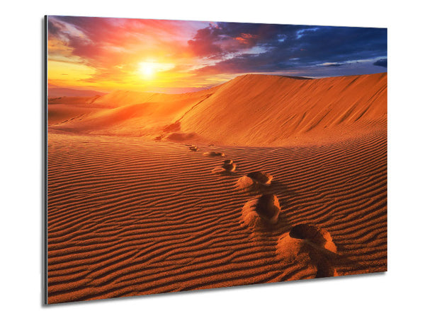 Footprints In The Desert Sun Metal Print