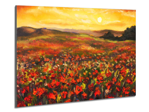 Poppy Field Sun Metal Print
