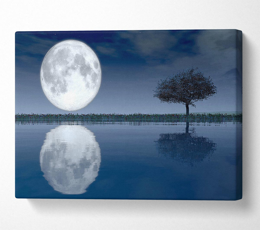 Picture of Moon Reflection Canvas Print Wall Art