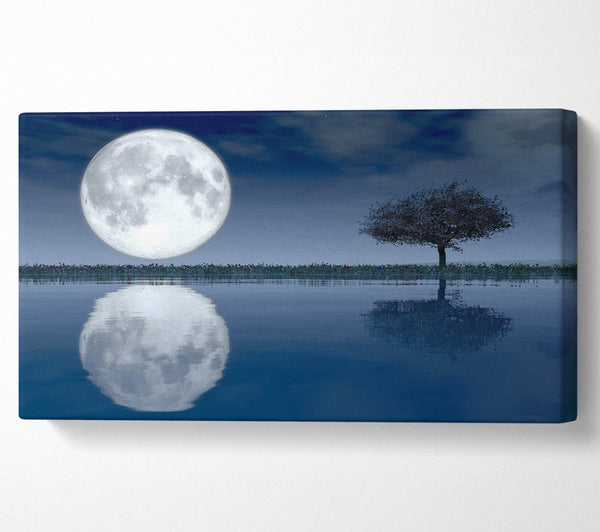 Moon Reflection