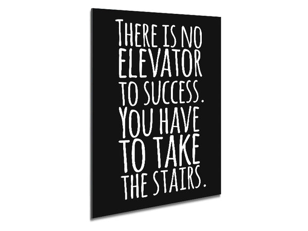 There Is No Elevation To Success Metal Print