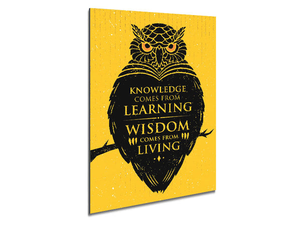 Knowledge And Wisdom Metal Print