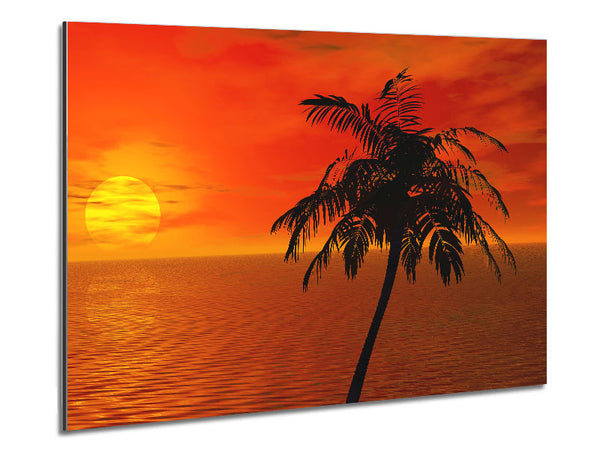 Palm Tree Ocean Sun