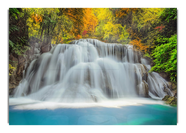 Gentle Forest Waters