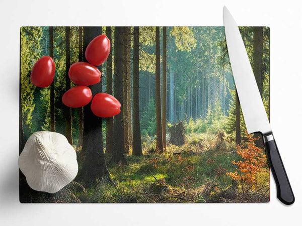 Magical forest sunset Glass Chopping Board