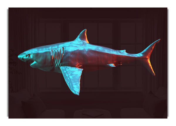Blue shark in the deep sea