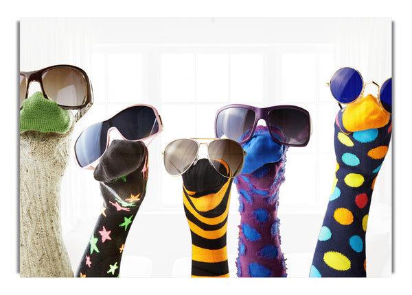 Sockenpuppen mit Sonnenbrille