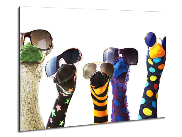 Sockenpuppen mit Sonnenbrille